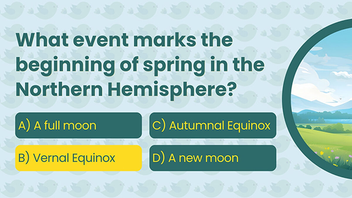 Spring Trivia image number null
